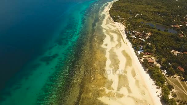 Aerial view beautiful beach on a tropical island. Philippines, Anda area. — Stock Video