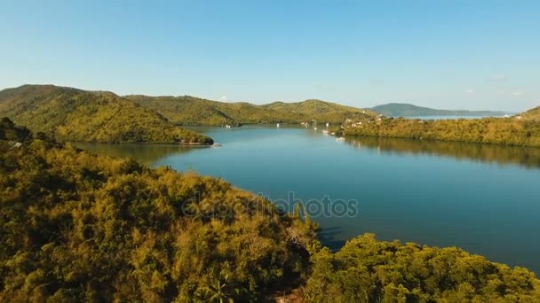 Tropical sea bay. Aerial view: Seascape Busuanga, Palawan, Philippines. — Stock Video