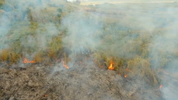 Vue aérienne Incendie de forêt. Busuanga, Palawan, Philippines .