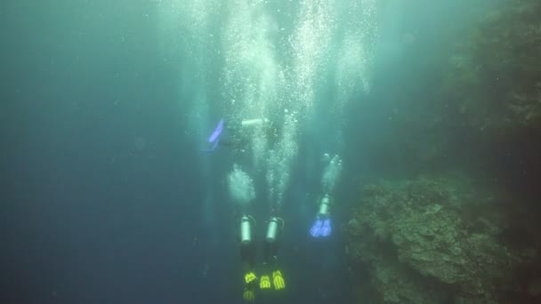 Scuba Divers underwater. — Stock Video