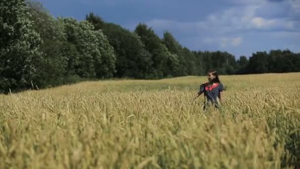 Hand van meisje in het tarweveld. — Stockvideo