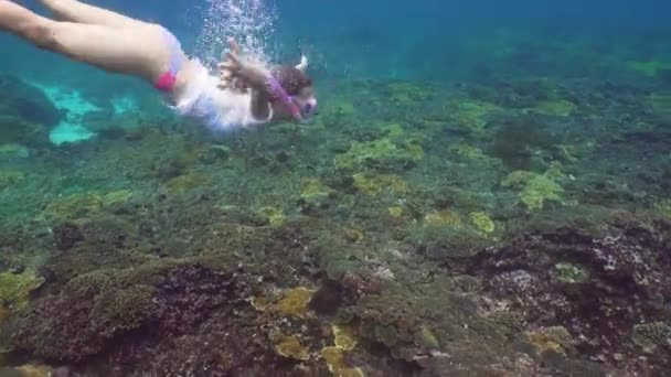 Chica buceando bajo el agua . — Vídeos de Stock