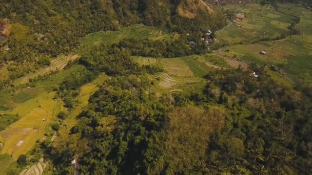 Paesaggio montano terreni agricoli e villaggio Bali, Indonesia. — Video Stock