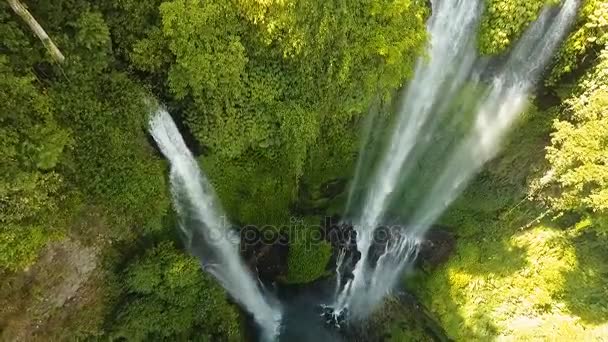 Piękny tropikalny wodospad. Bali, Indonezja. — Wideo stockowe