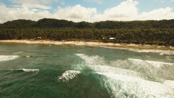 Letecký pohled krásné pláže na tropickém ostrově. Filipíny, Siargao. — Stock video
