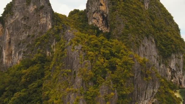 Forêt tropicale humide en montagne, vue aérienne . — Video