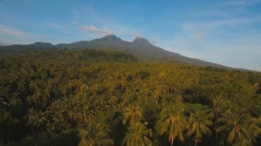 Tropikal orman ile Dağları. Camiguin Adası Filipinler.