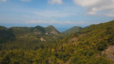 Tropikal ormanlı dağlar. Filipinler Cebu Adası.
