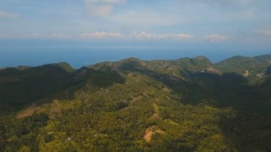 Tropikal ormanlı dağlar. Filipinler Cebu Adası.