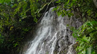 Güzel tropik şelale. Filipinler Cebu Adası.