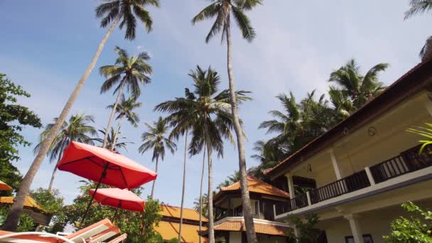 Paisagem tropical com palmeiras, hotel . — Vídeo de Stock