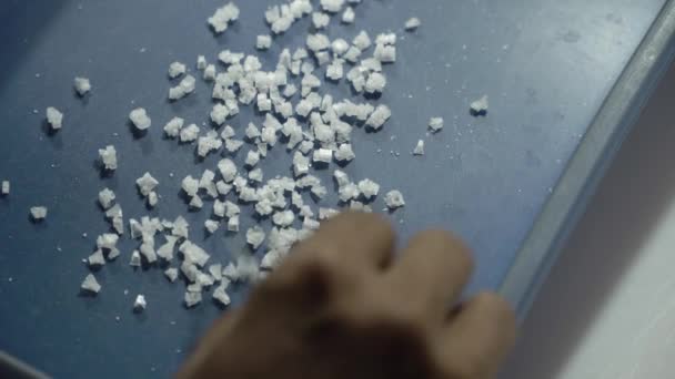 Production Crystalline Sea Salt — Stock Video