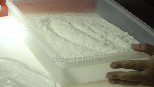 Production Crystalline Sea Salt — Stock Video