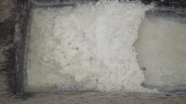 Salt production in Bali. — Stock Video