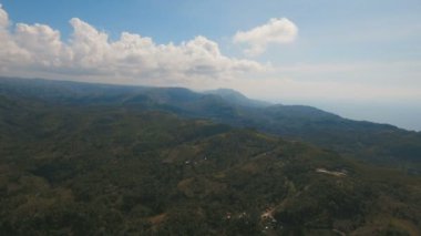 Tropikal ormanlı dağlar. Filipinler Cebu Adası.