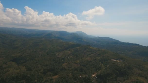 Βουνά με τροπικό δάσος. Νήσος Φιλιππίνες Cebu. — Αρχείο Βίντεο