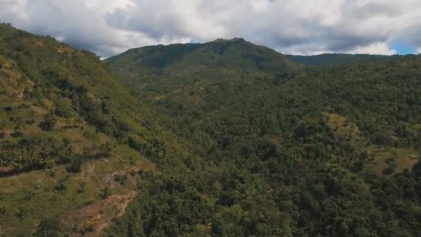 Hegyek trópusi erdőkkel. Fülöp-szigetek Cebu sziget. — Stock videók