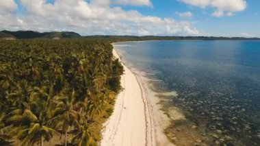 Hava güzel bir plaj tropikal bir adada görüntüleyin. Filipinler, Siargao.