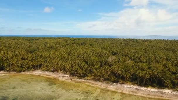 Pantai indah pemandangan udara di pulau tropis. Pulau Daco, Filipina, Siargao . — Stok Video