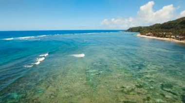 Hava güzel bir plaj tropikal bir adada görüntüleyin. Filipinler, Siargao.