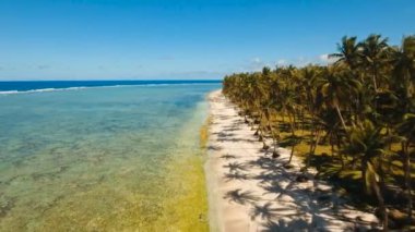 Hava güzel bir plaj tropikal bir adada görüntüleyin. Filipinler, Siargao.