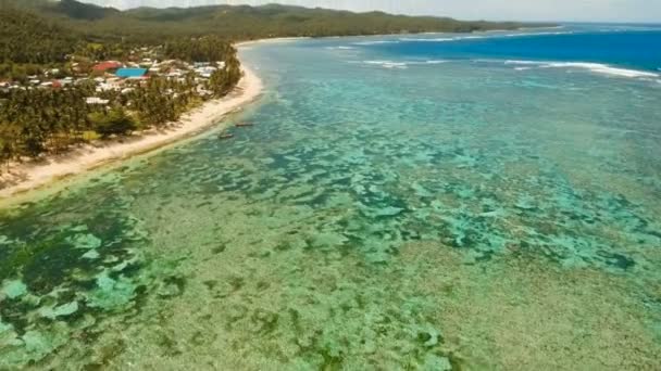 Вид с воздуха красивый пляж на тропическом острове. Philippines, Siargao . — стоковое видео