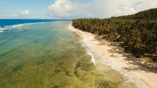 Hava güzel bir plaj tropikal bir adada görüntüleyin. Filipinler, Siargao. — Stok video