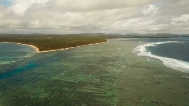 Antenn Visa vacker strand på en tropisk ö. Filippinerna, Siargao. — Stockvideo