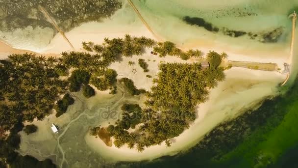 Антена переглянути красивого пляжу на тропічному острові. Філіппіни, Siargao. — стокове відео
