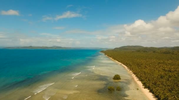 Vista aérea hermosa playa en una isla tropical. Filipinas, Siargao . — Vídeo de stock