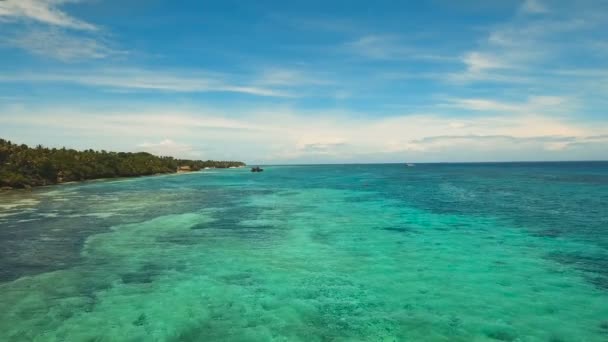 Antenne bekijken strand op een tropisch eiland. Filippijnen, Anda gebied. — Stockvideo