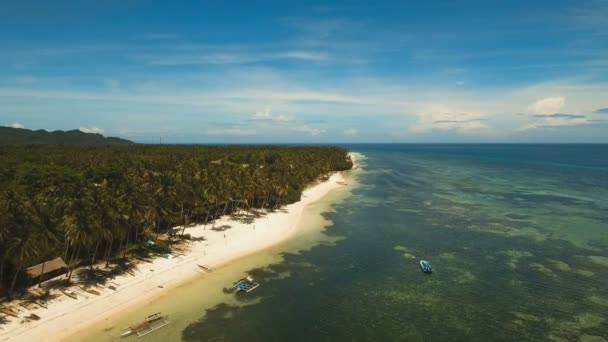 Vista aérea hermosa playa en una isla tropical. Filipinas, zona de Anda . — Vídeo de stock