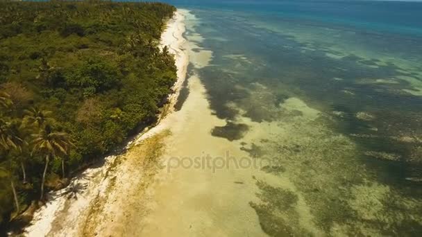 Vue aérienne belle plage sur une île tropicale. Philippines, région d'Anda . — Video