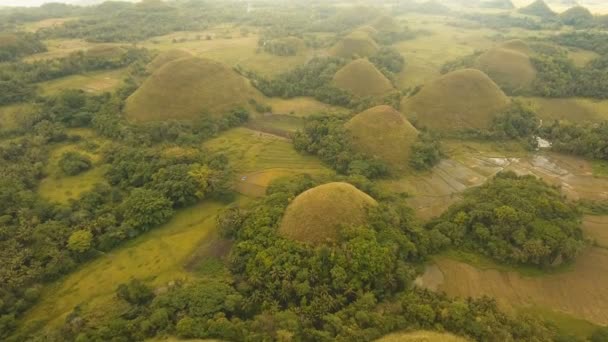 Schokoladenhügel in Bohol, Philippinen, Luftaufnahme. — Stockvideo