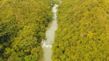 Yağmur ormanlarında Filipinler, Bohol Loboc Nehri.