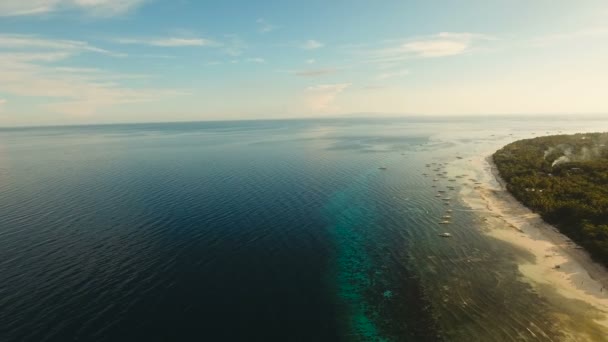 Вид с воздуха красивый пляж на тропическом острове. Philippines, Bohol . — стоковое видео