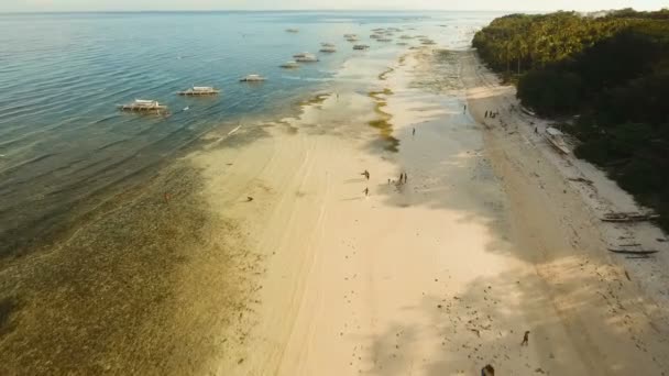 Antenna Nézd szép strand egy trópusi szigeten. Fülöp-szigetek, Bohol. — Stock videók