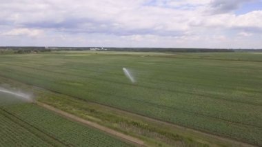 Havadan görünümü: makine bir patates alanda sulama