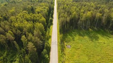 Orman arasında karayolu.