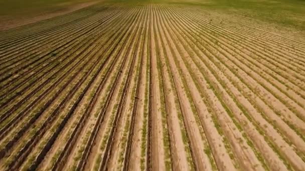 Aerial view of farmland. — Stock Video