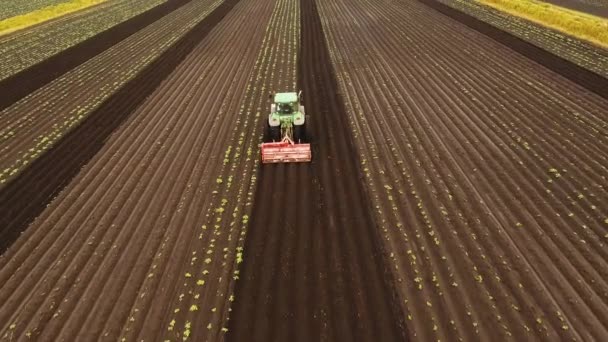 Tractor cultivates the land in the field. — Stock Video