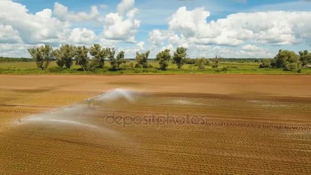 Zavlažovací systém na zemědělské půdě. — Stock video