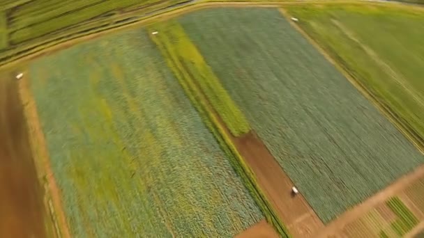 Luchtfoto van landbouwgrond. — Stockvideo