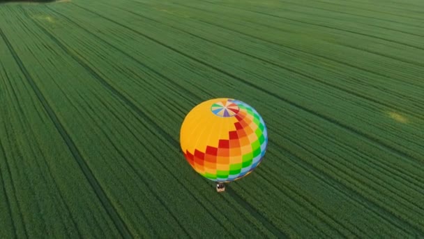 Az égen át egy mezőt hőlégballon. — Stock videók