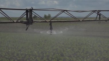 Tarım arazisindeki sulama sistemi.