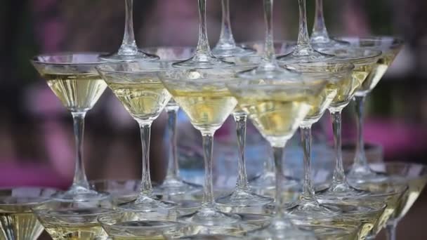 Verres à champagne debout dans une tour à la fête — Video