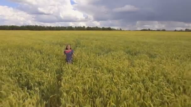 Jong meisje in het tarweveld. Luchtfoto video. — Stockvideo