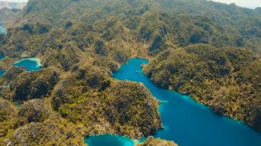 Hava manzaralı tropikal göl, deniz, sahil. Tropikal ada. Busuanga, Palawan, Filipinler.