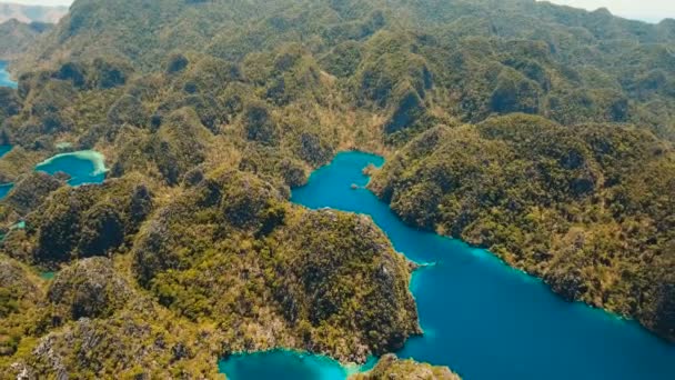 Vista aerea laguna tropicale, mare, spiaggia. Isola tropicale. Busuanga, Palawan, Filippine. — Video Stock