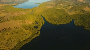 Tropikal peyzaj, dağlar, orman, defne. Busuanga, Palawan, Filipinler.